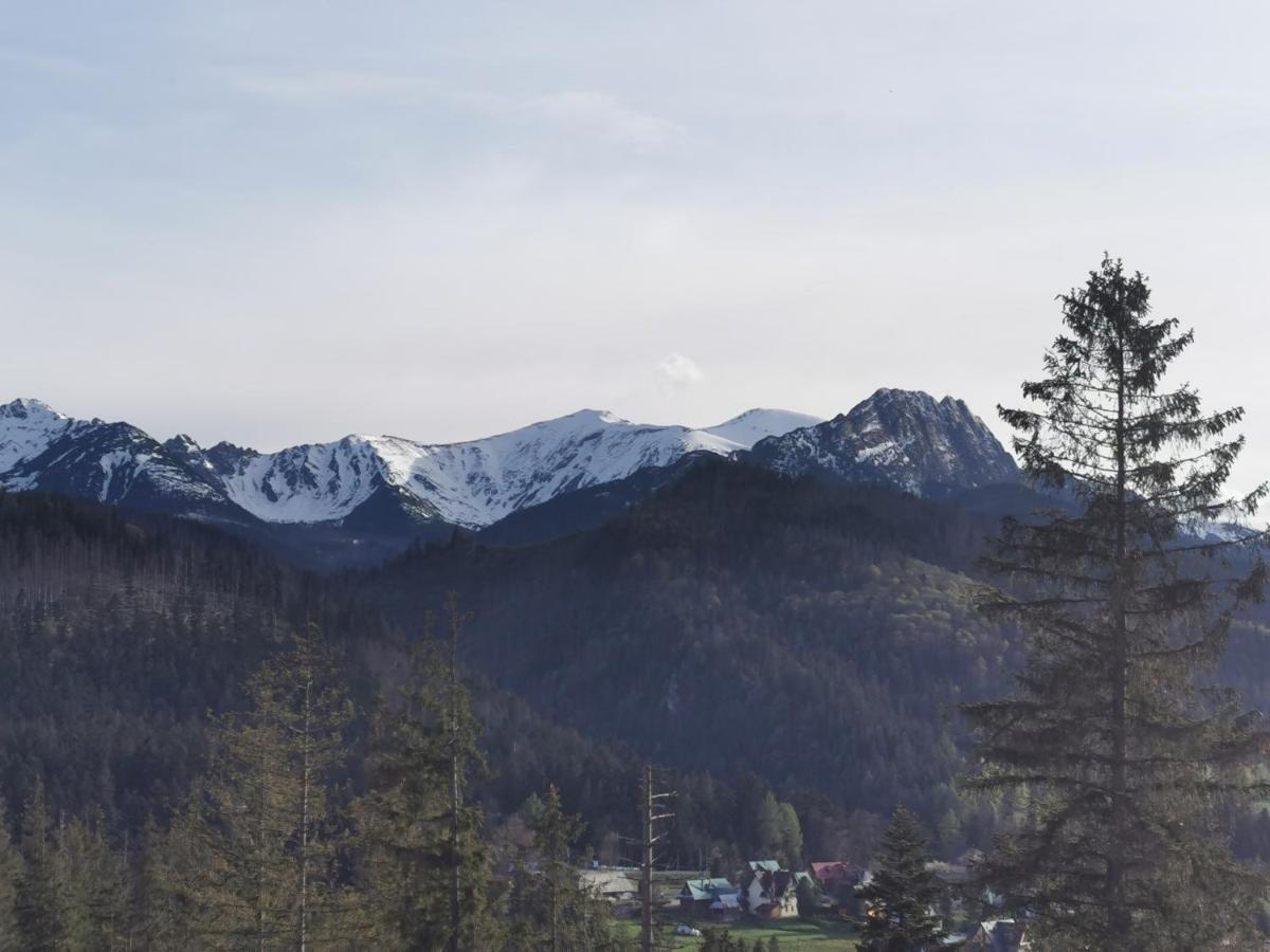 Apartmán Z Kogutem Zakopane